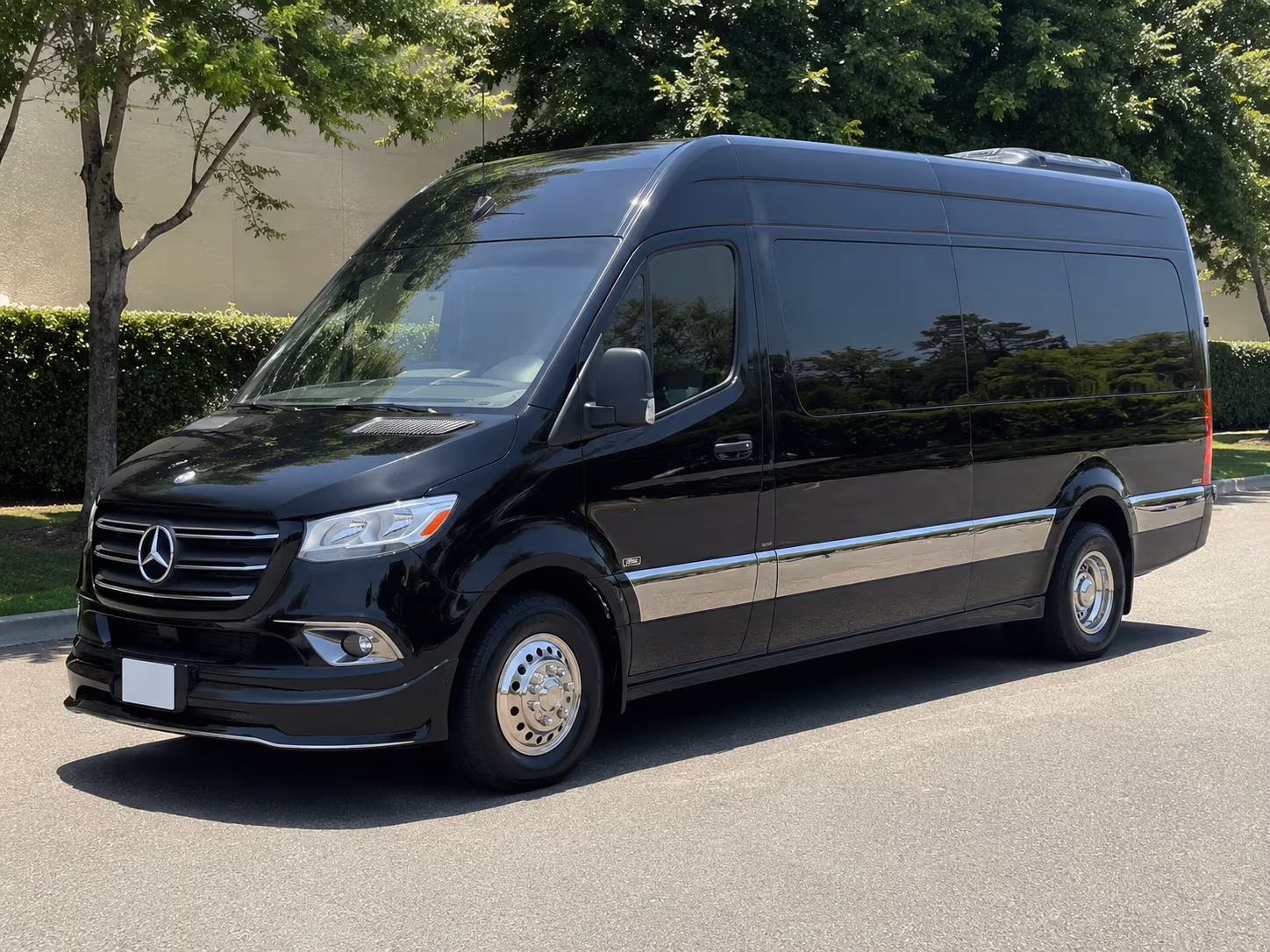 amarillo 10 passenger sprinter van