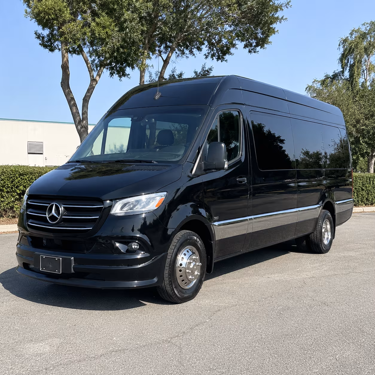 amarillo 15 passenger sprinter van